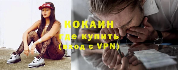 дживик Каменногорск