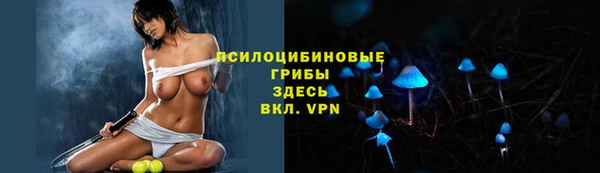COCAINE Каменка