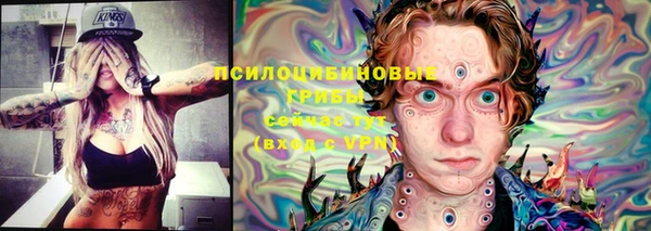 дживик Каменногорск
