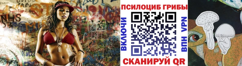 Купить где  Дюртюли  Псилоцибиновые грибы Psilocybe 
